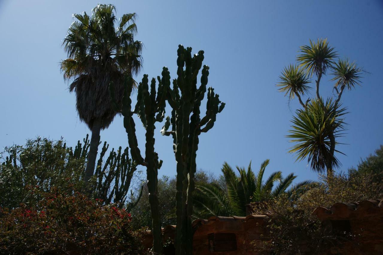 Hotel Son Vent Ca's Concos des Cavaller Exterior foto